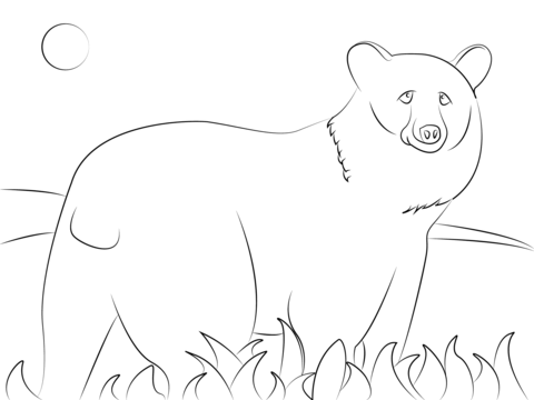 American Black Bear Coloring Page